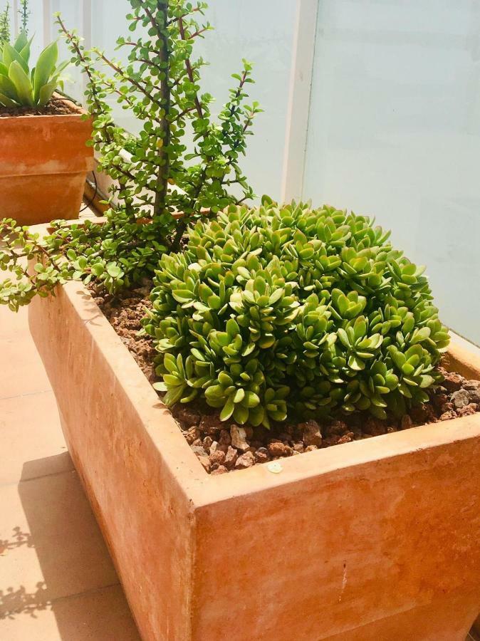 דירות מוריירה Penthouse La Paz 9 - Castle View מראה חיצוני תמונה